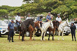 Law enforcement officers